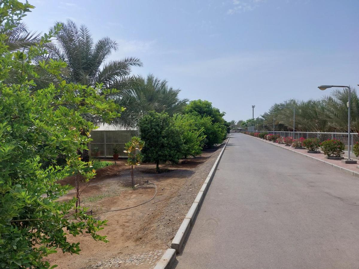Asahalah Farm Pool Villas Seeb Ngoại thất bức ảnh