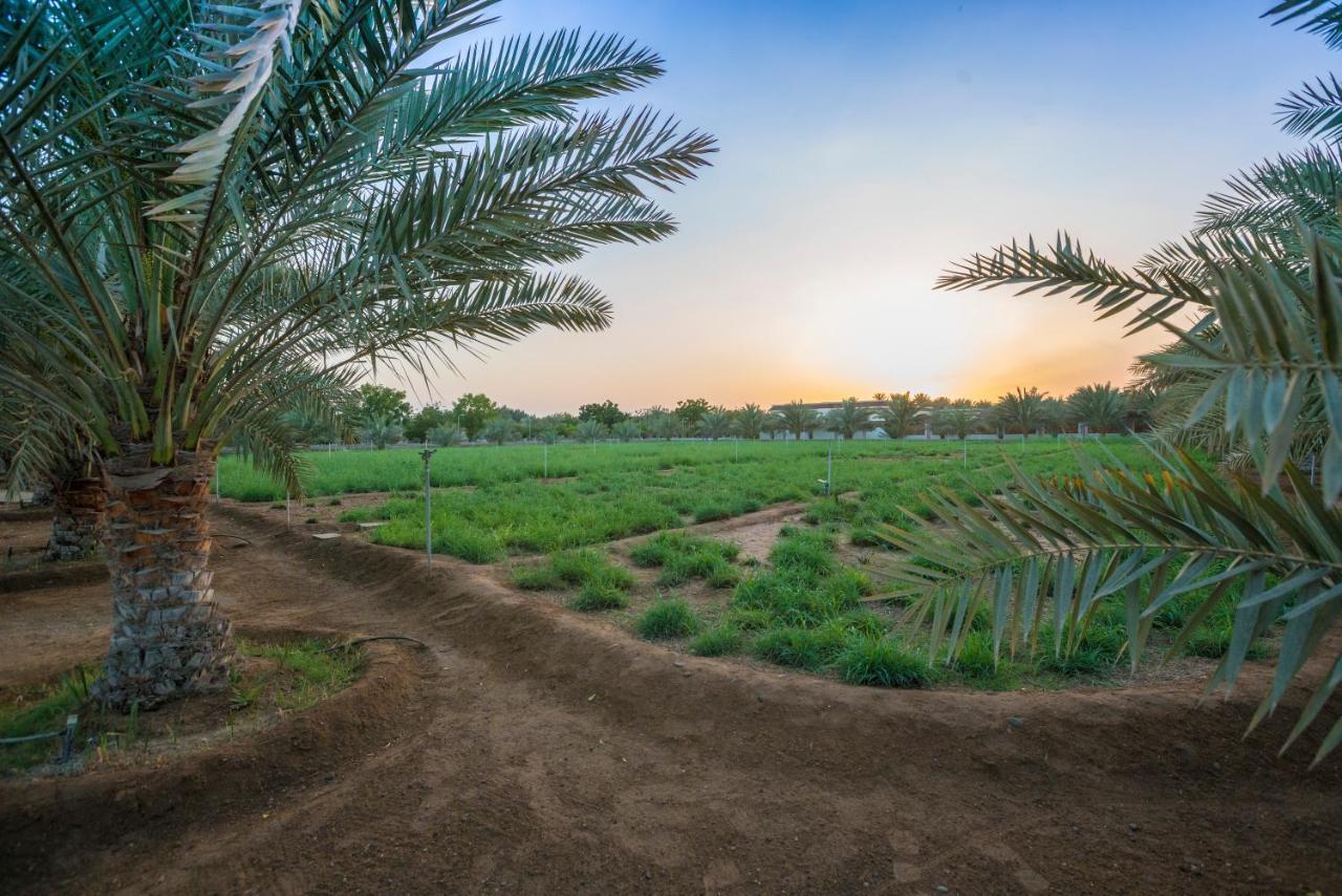Asahalah Farm Pool Villas Seeb Ngoại thất bức ảnh